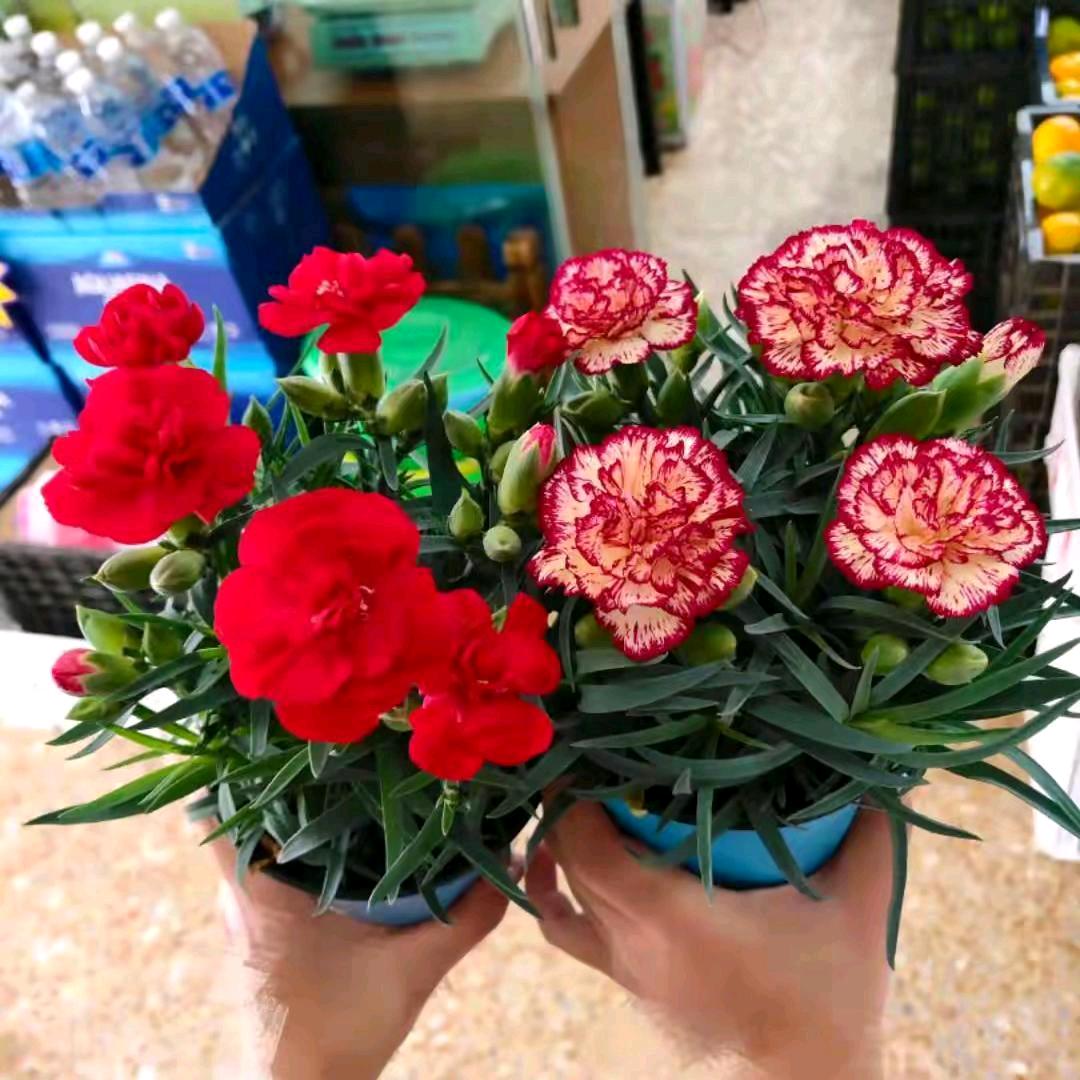 善待自己