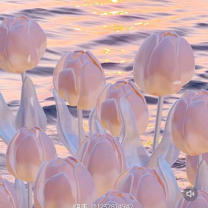 奇遇