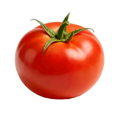 西红柿