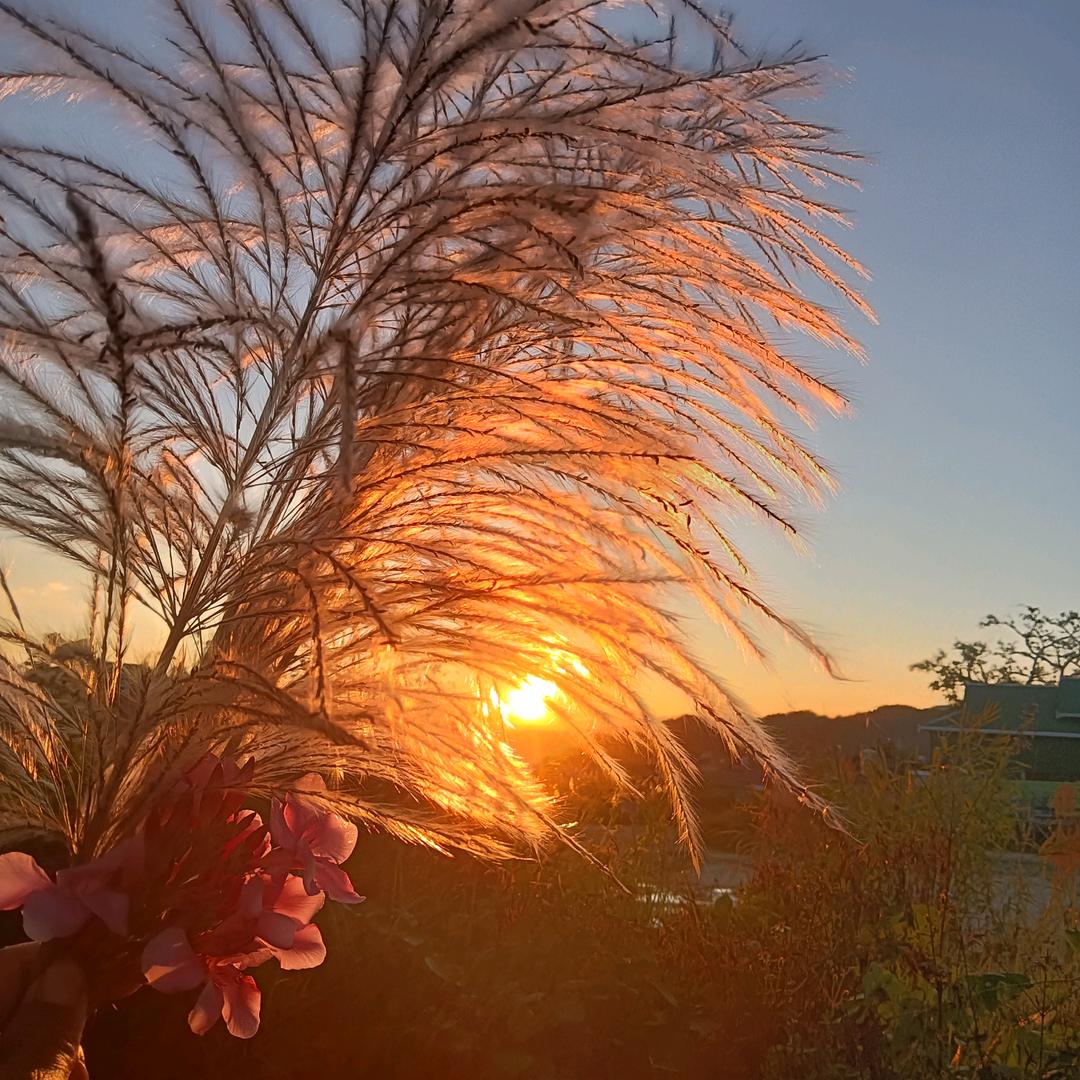 💓💓🇱🇹🇱🇹🇱🇹