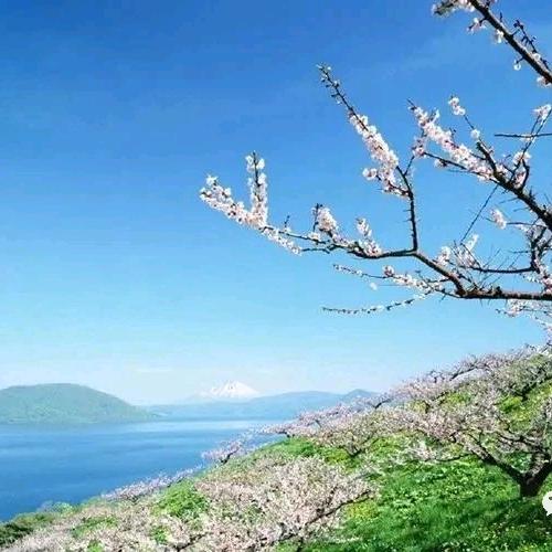 锁爱