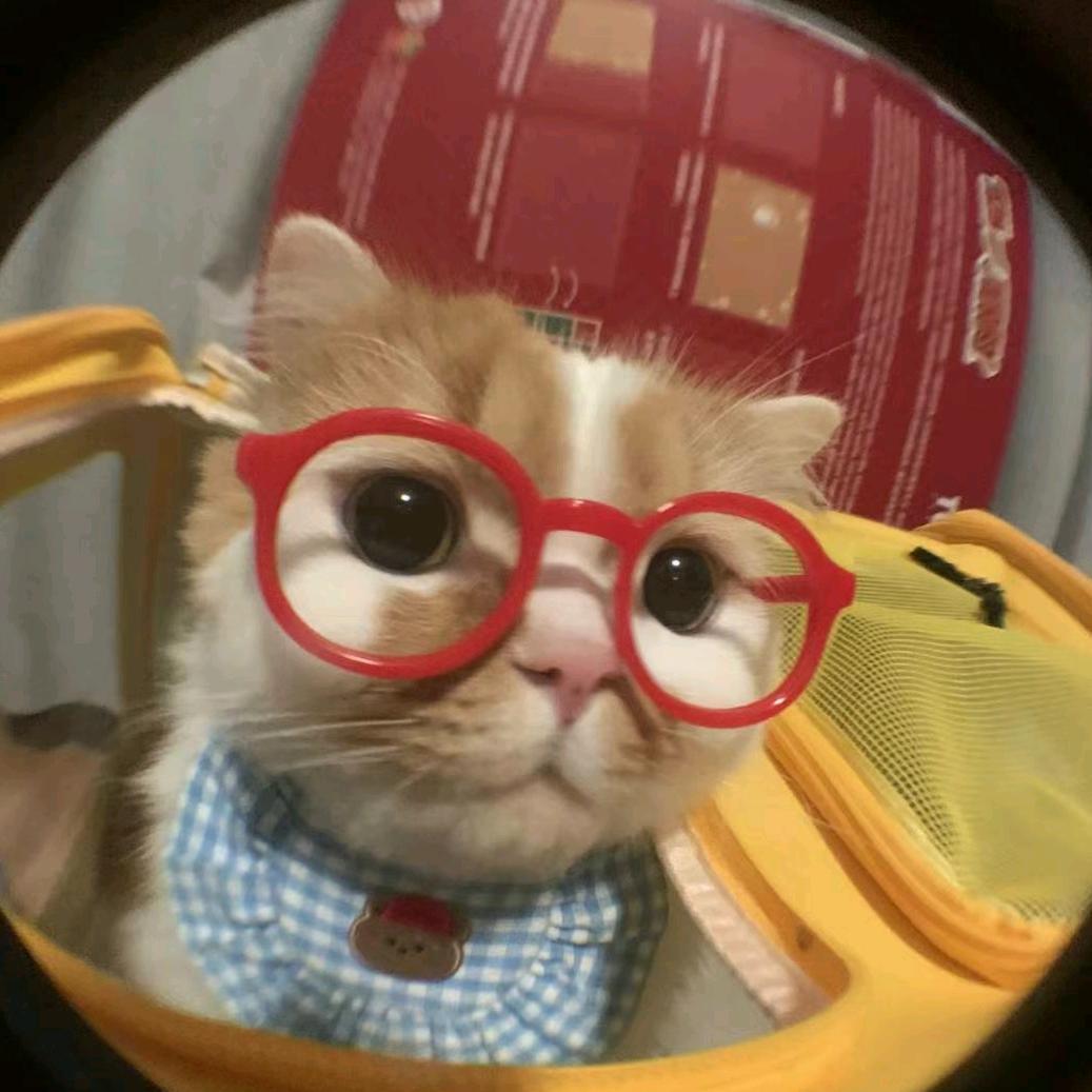 谁还有多余资金