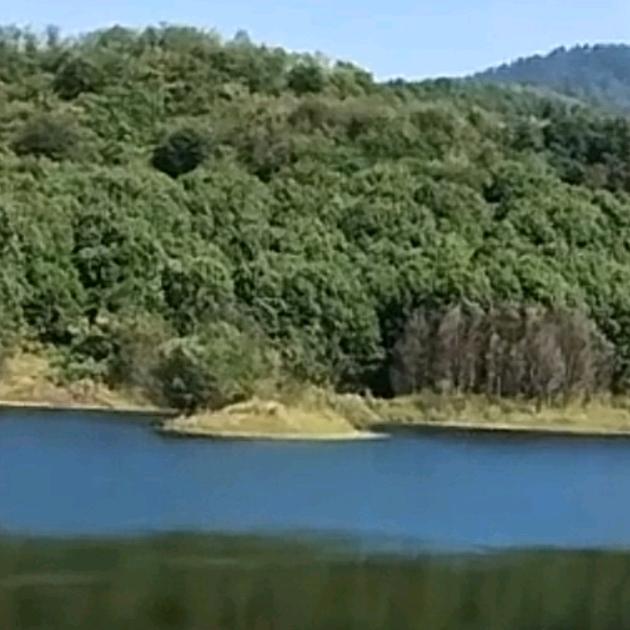 钰洁