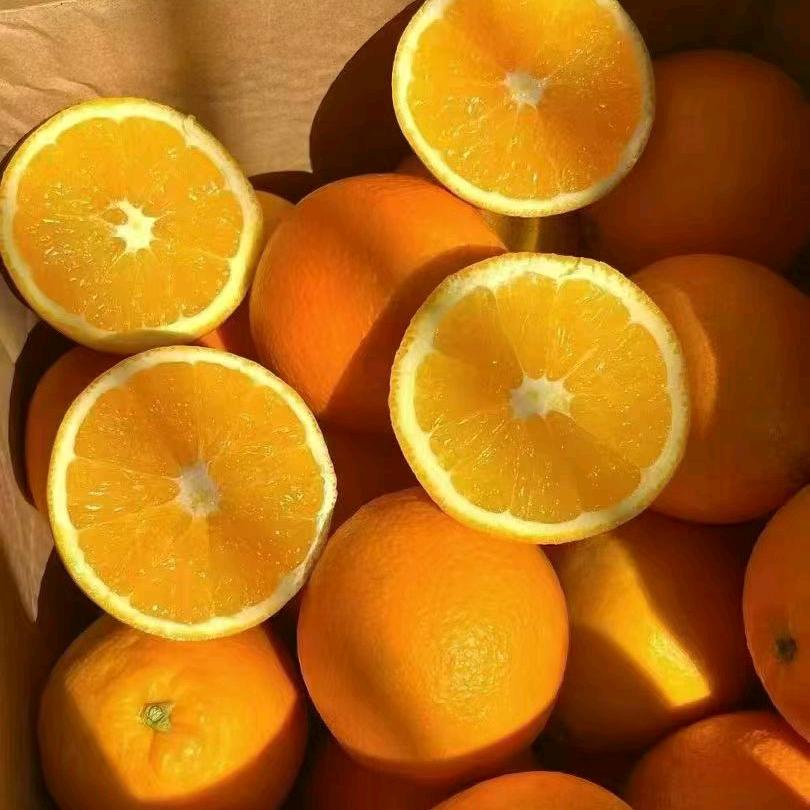冬日珍品赣南脐橙