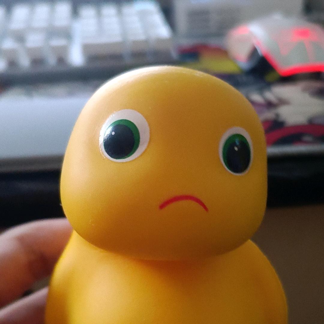 我菜还玩的花