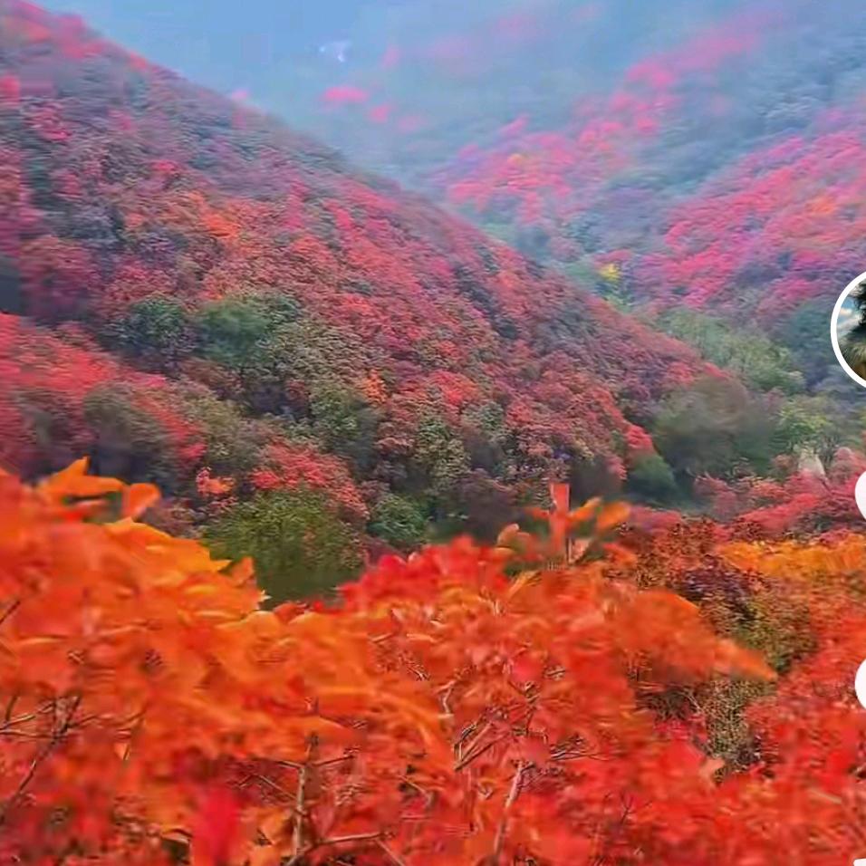 开心旅行是最好的养生