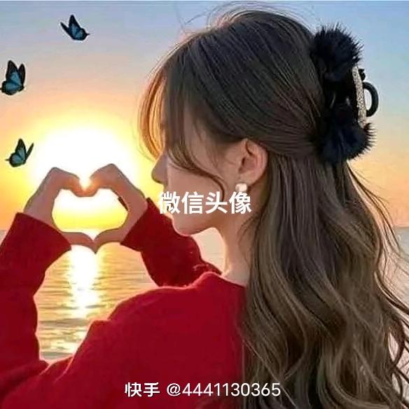 新来新去