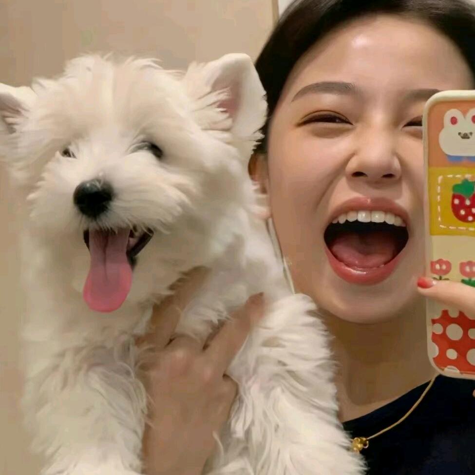 ㅍ_ㅍ