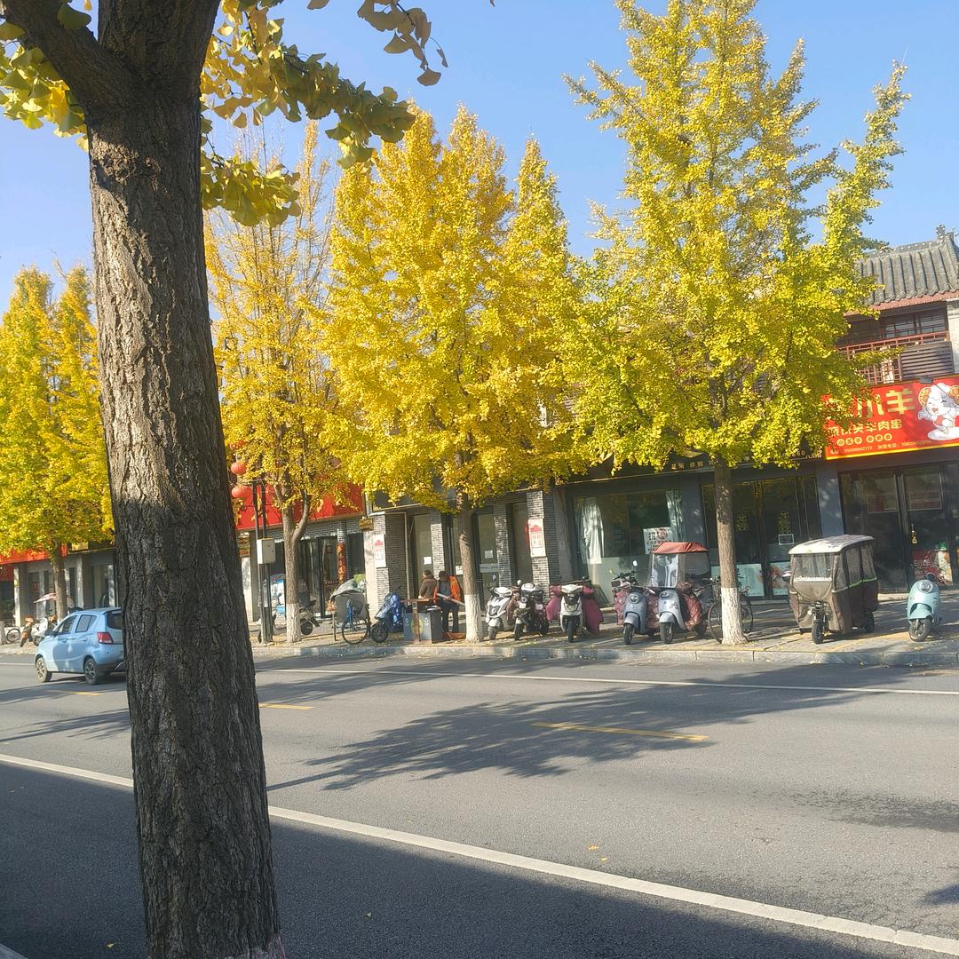 美好家乡