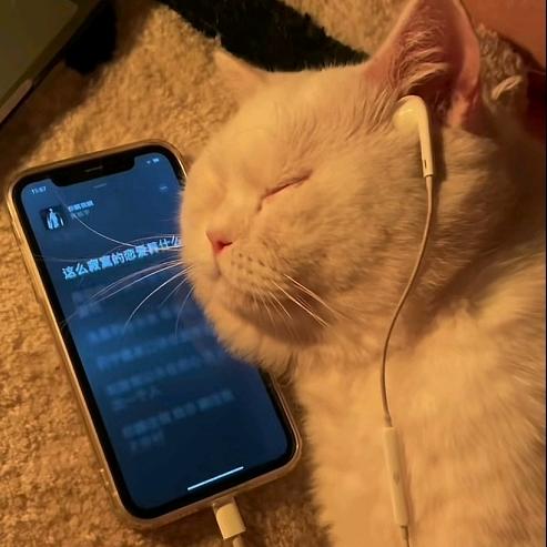 安挽