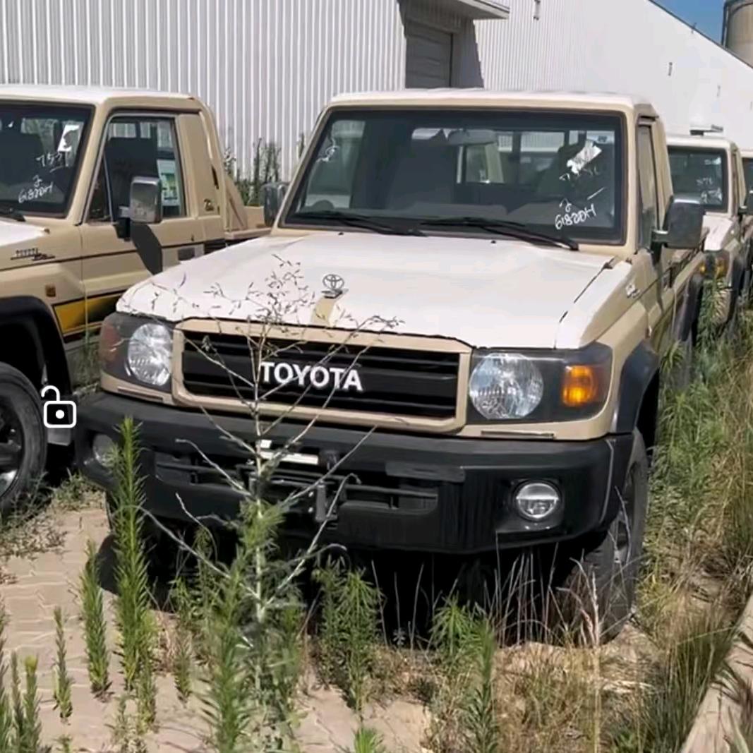 天津东疆国际汽车贸易