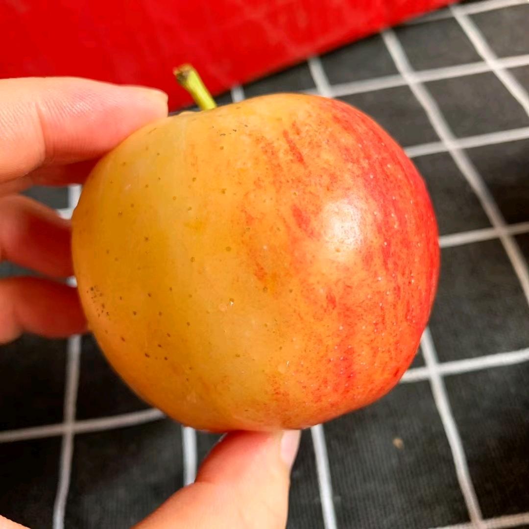 电商老趴菜