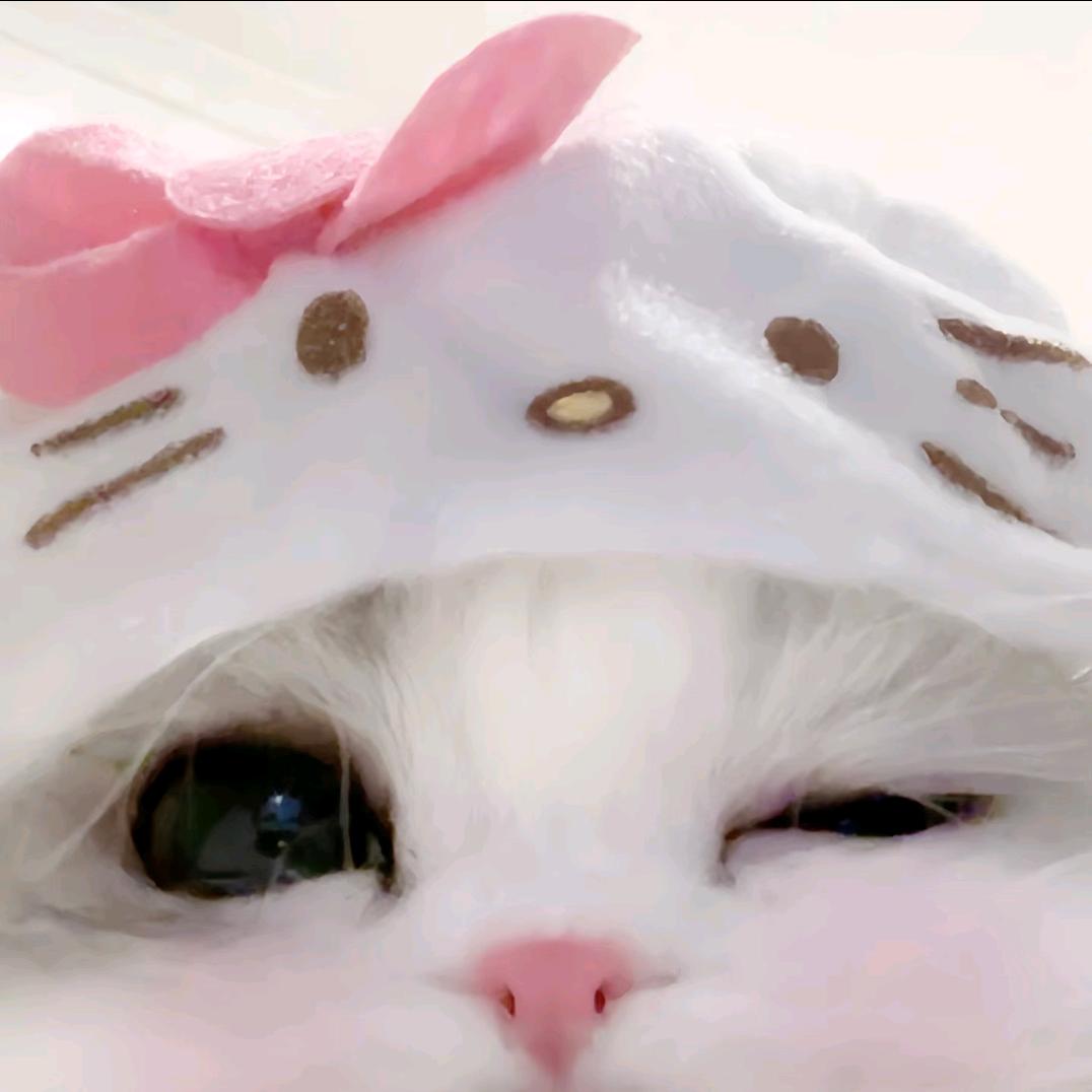 宝宝☆