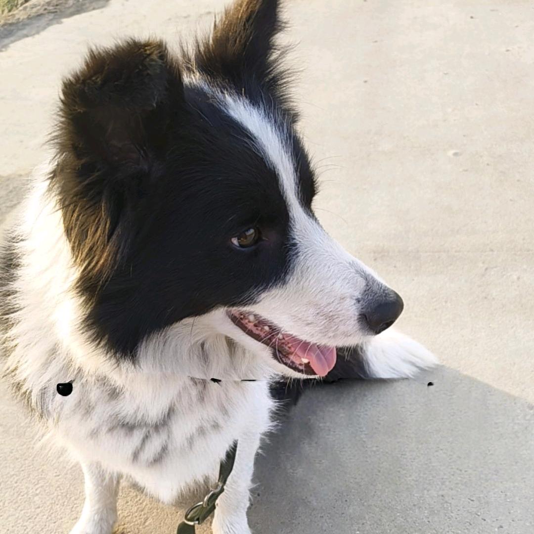 （忘♡★忧^O^★草）