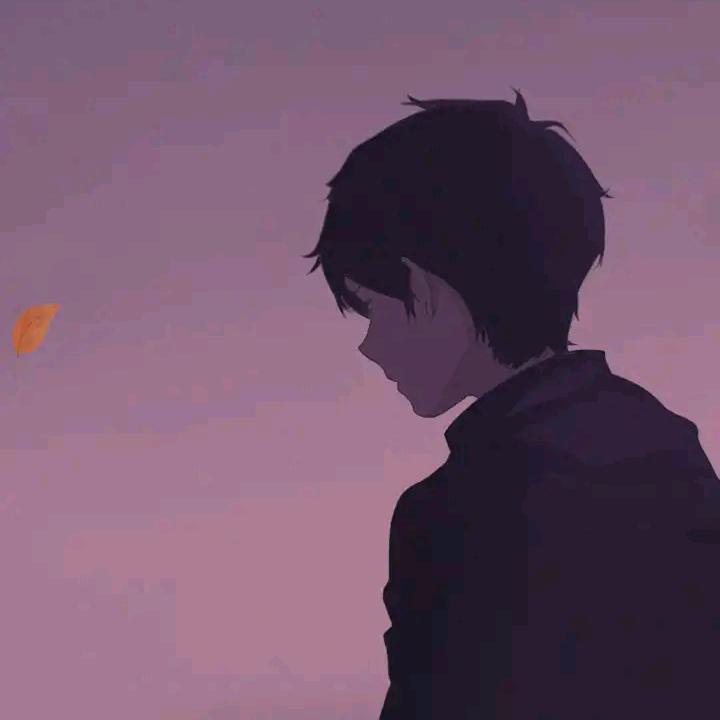 梦云飞