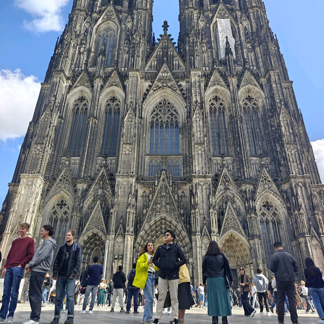 hey！偏要你吃香菜