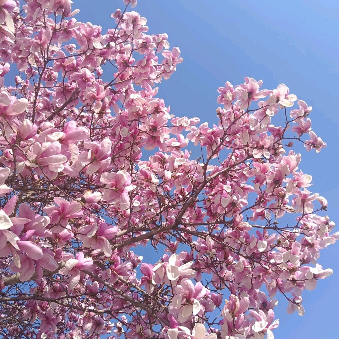 𖧷ɞ͜͡签收✨好运໊ഒᩚ࿐