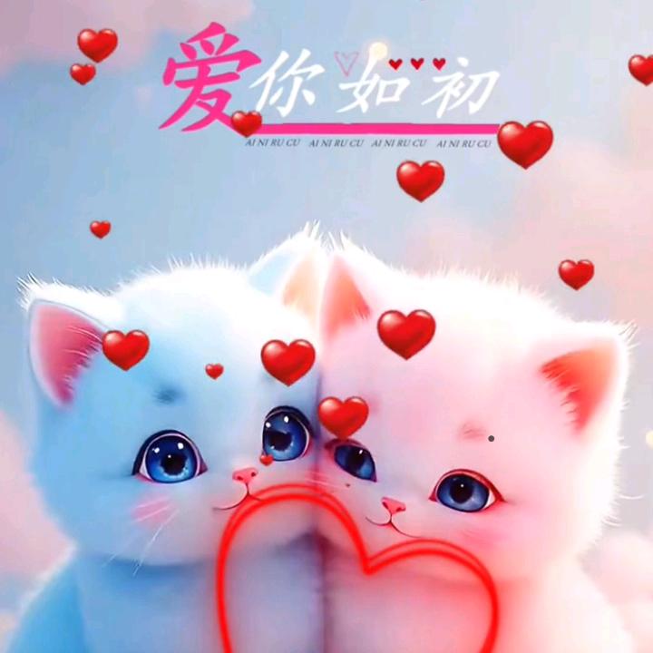 [W，Y，Z，D，Z]，壹玖