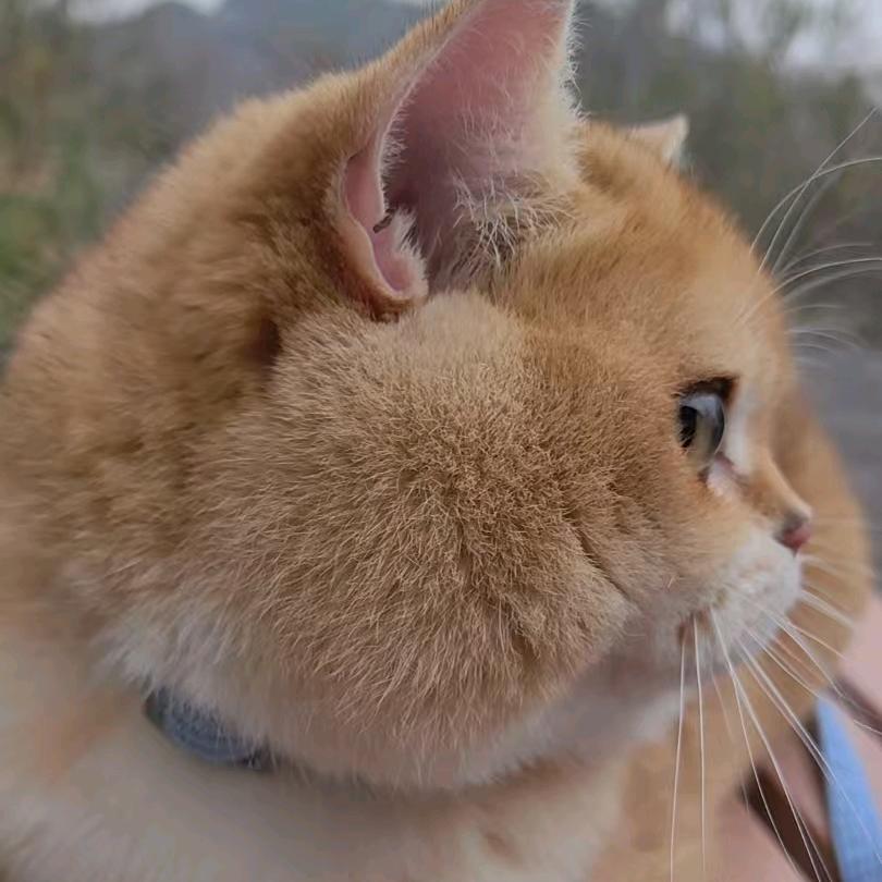 水瓶座