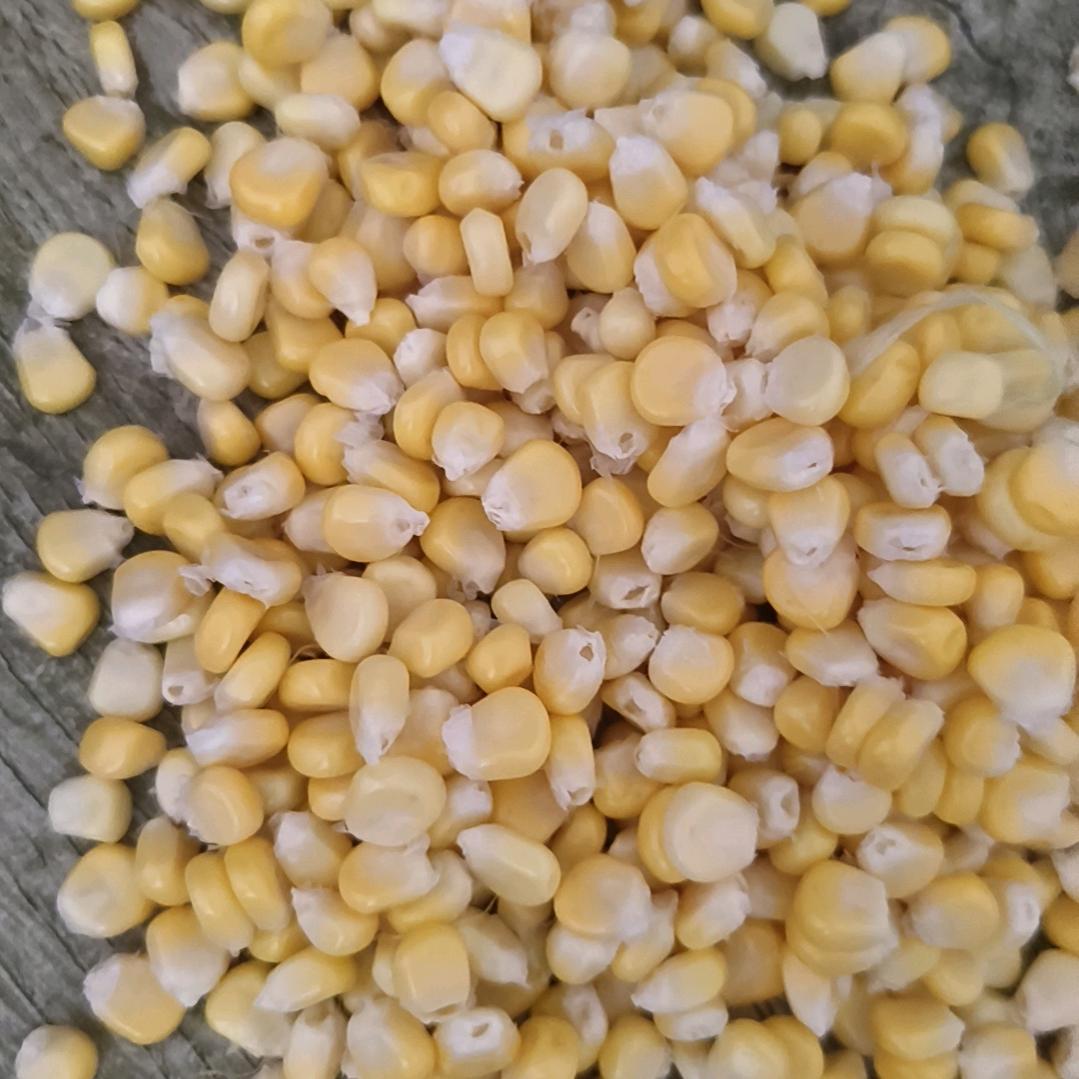 你还好吗