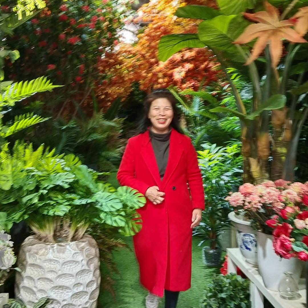 澄城新城花盆花卉帅帅妈咪郭