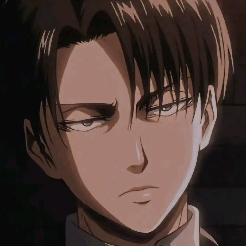 哈基熊（自律版）