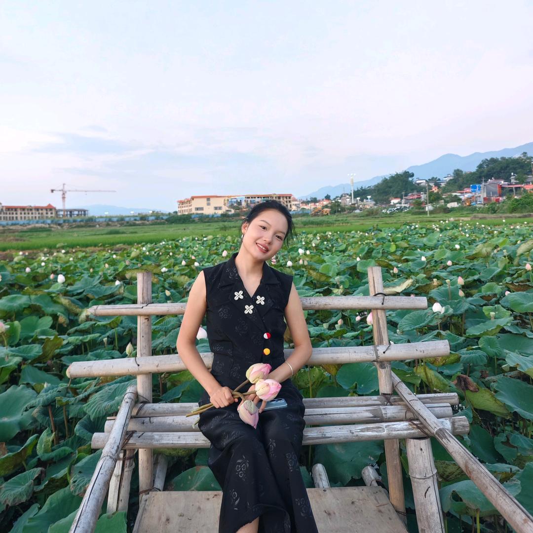 云南香香菜⭐