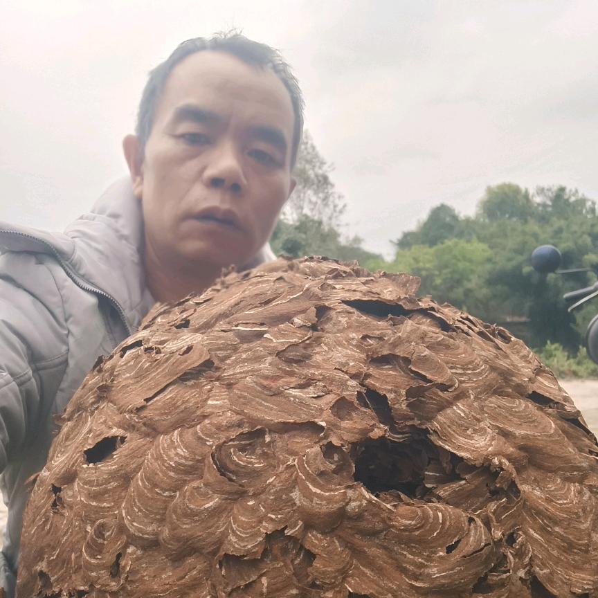 小帅哥