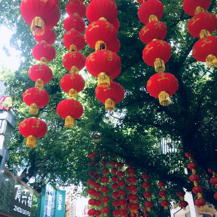 杨姐