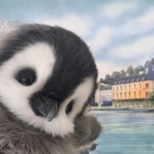 热爱学习的小企鹅qwq