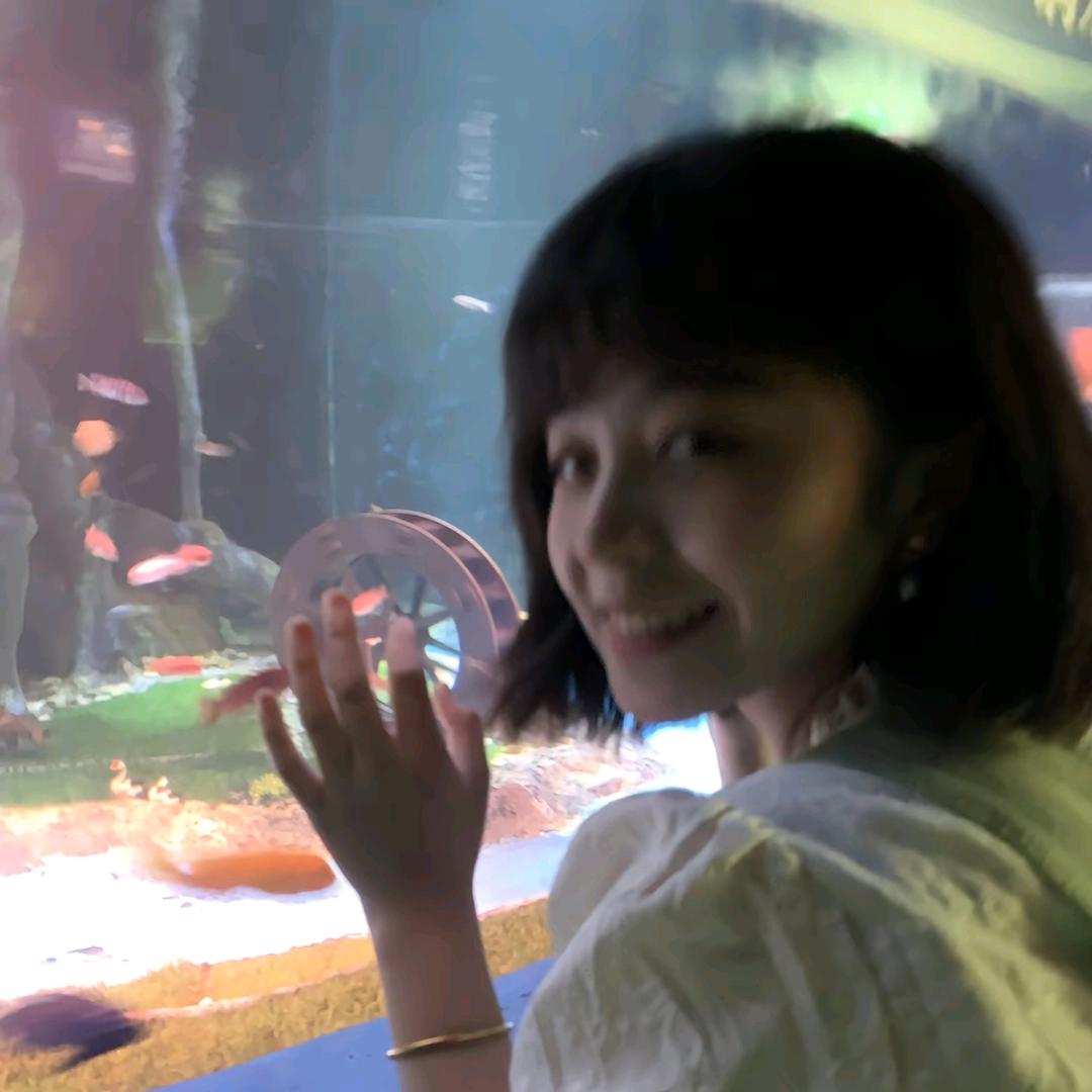 虞