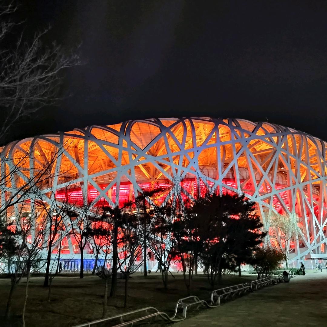 万物集优选之伟伟