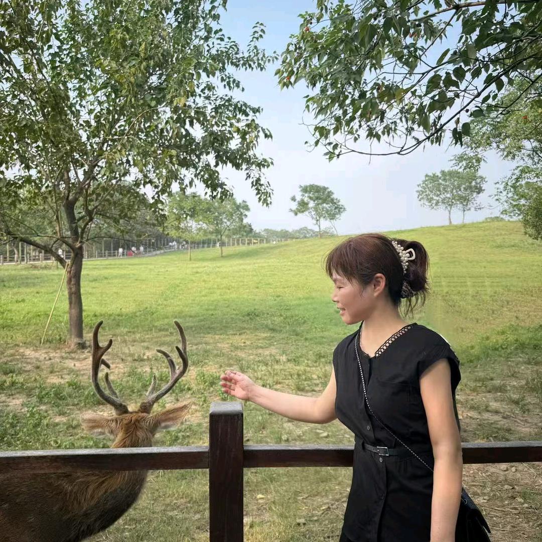 美姐（11月12日晚上6:30首播）