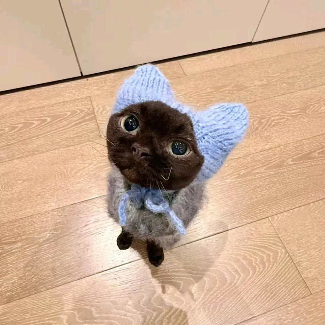 好运小狗