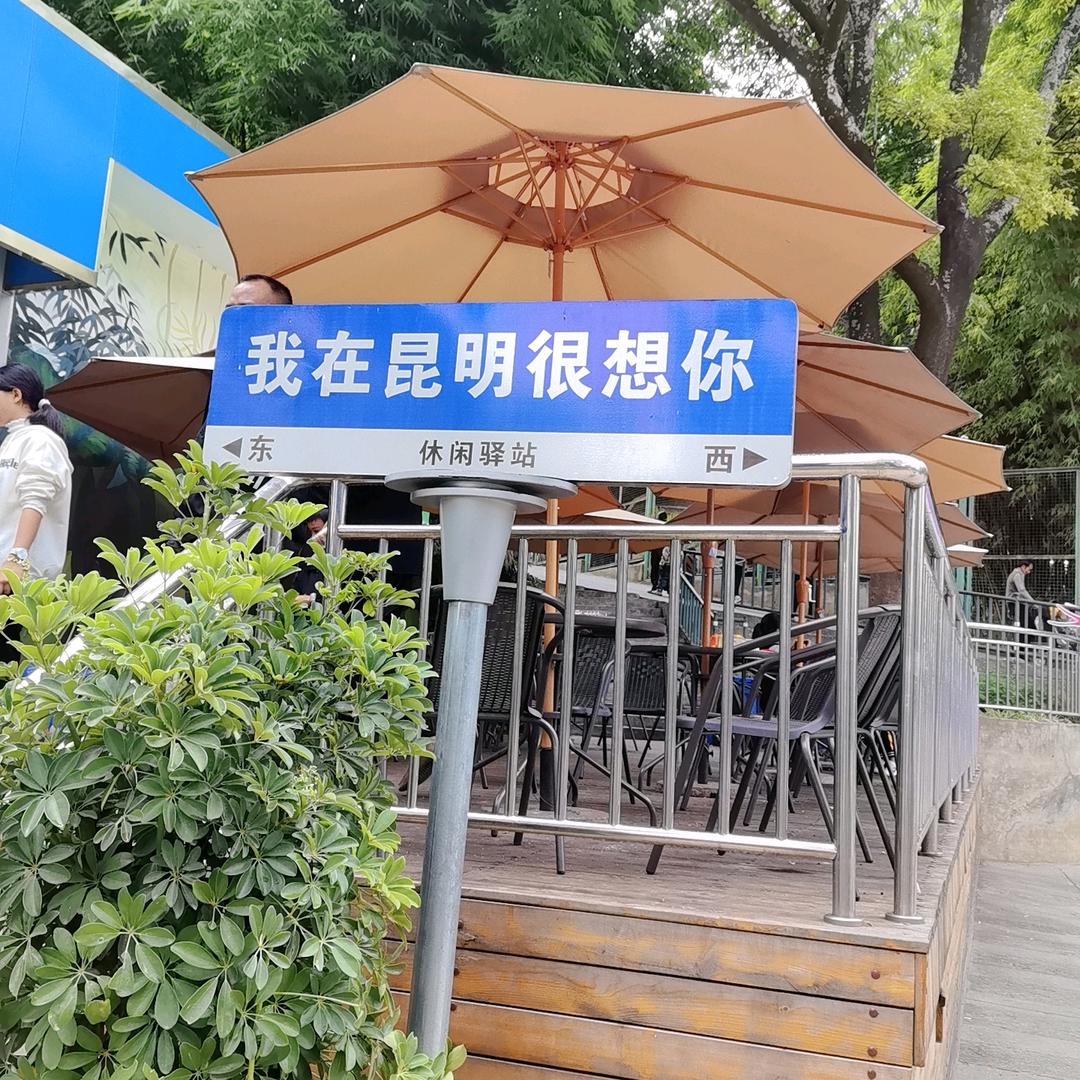 陈先生