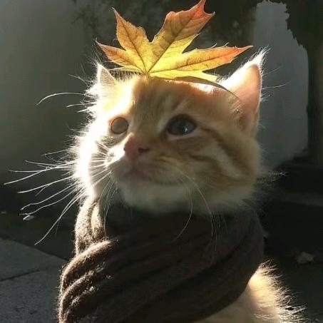 火辣辣