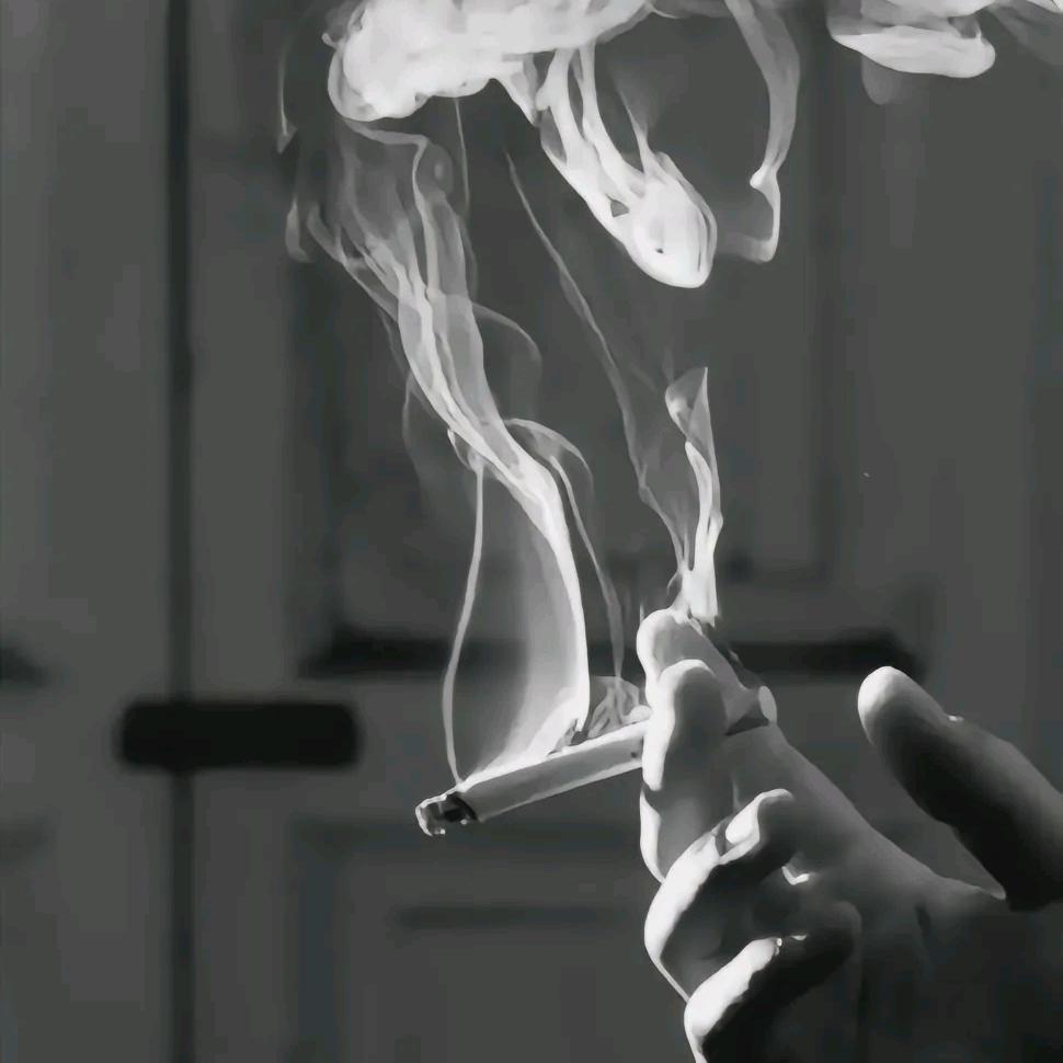 🇨🇳猫🎋