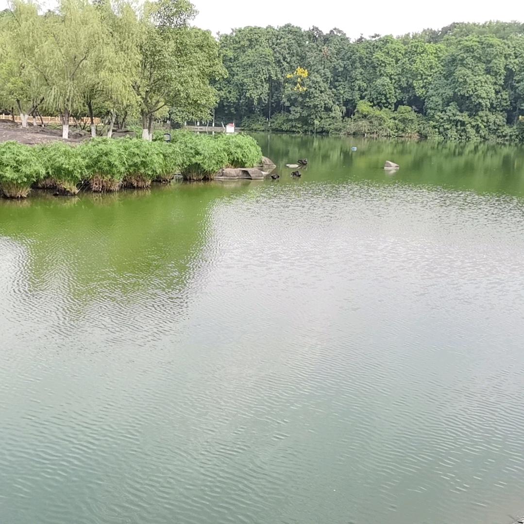 ℒᎭℯ⃝心᭄ᩚ꯭꧔💞