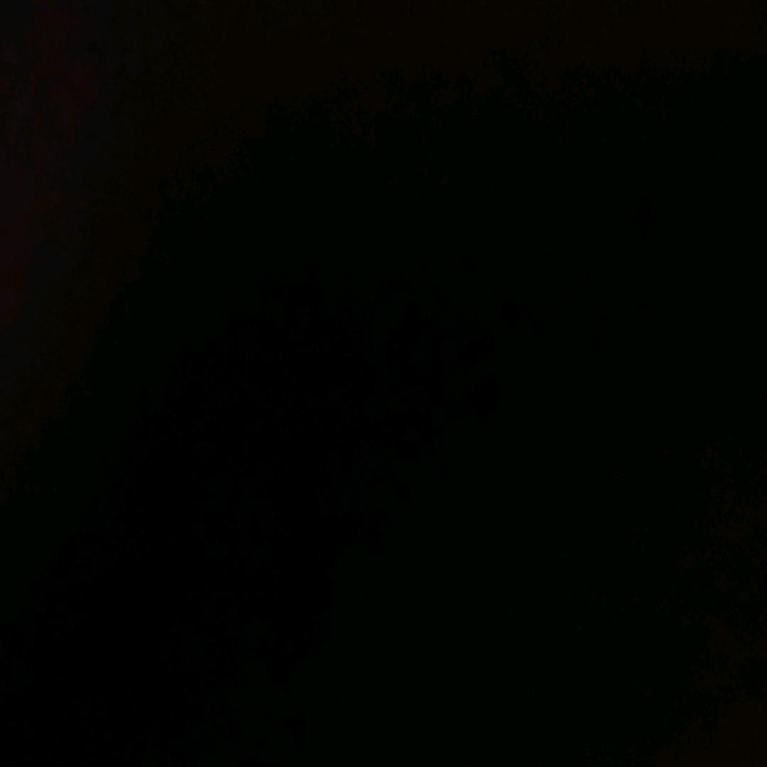 不知道该叫什么名字