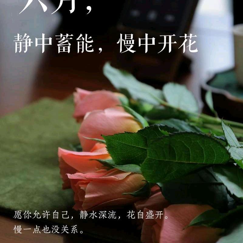 像风一样