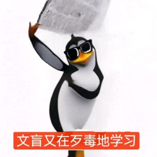 猫猫鱼.