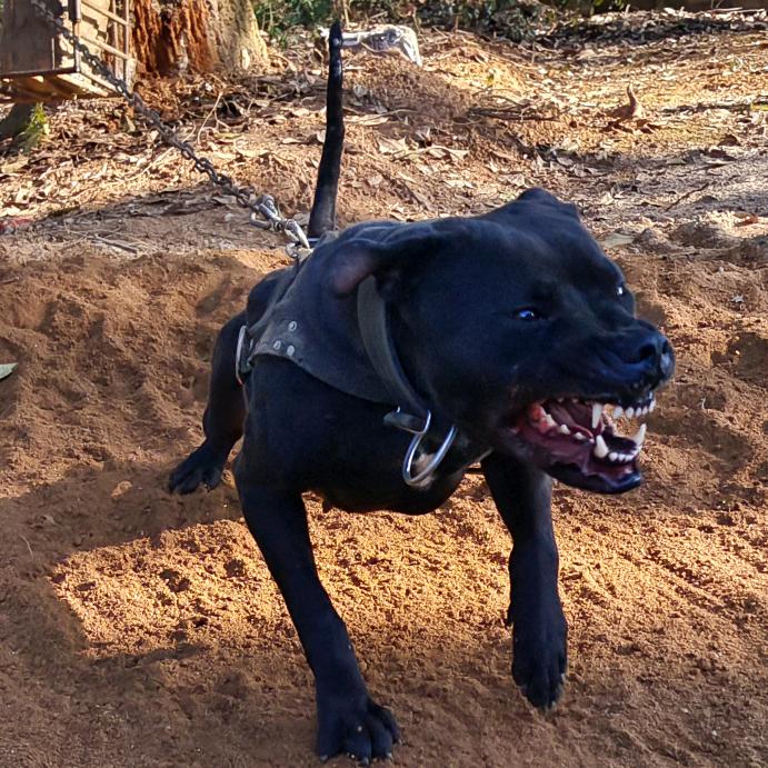 鹰潭锦江比特基地