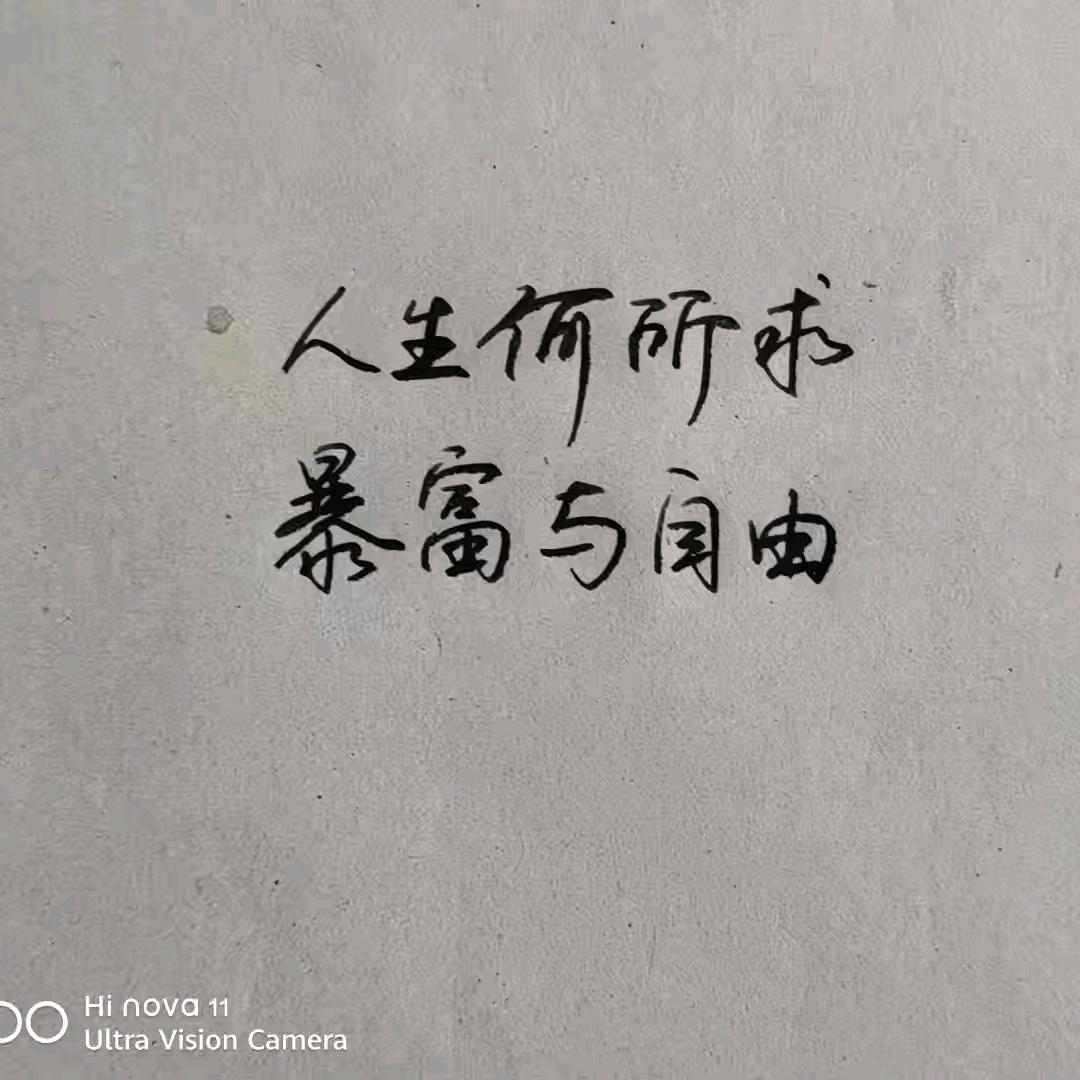 向阳而生•落地生花