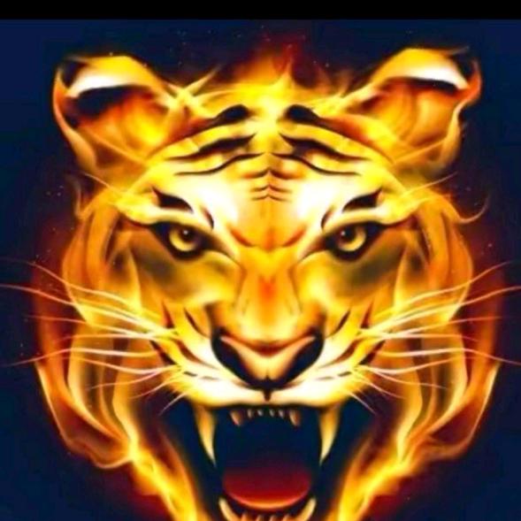 单身寻找另一半