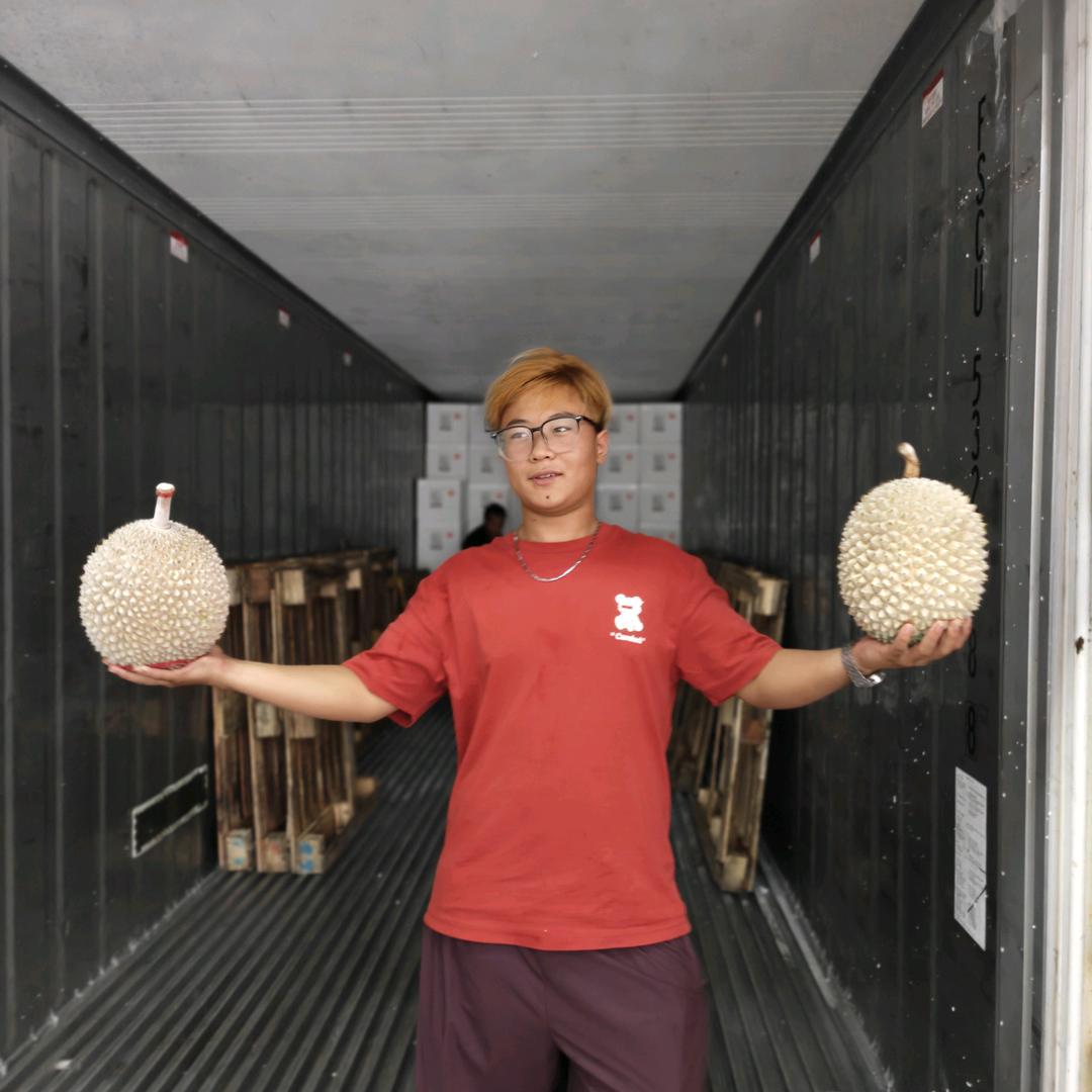 榴小可-黄毛榴莲