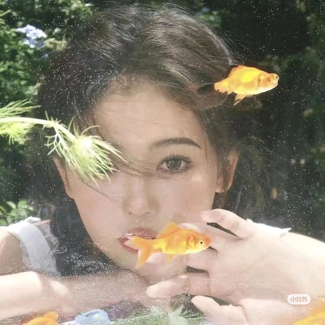 浅浅