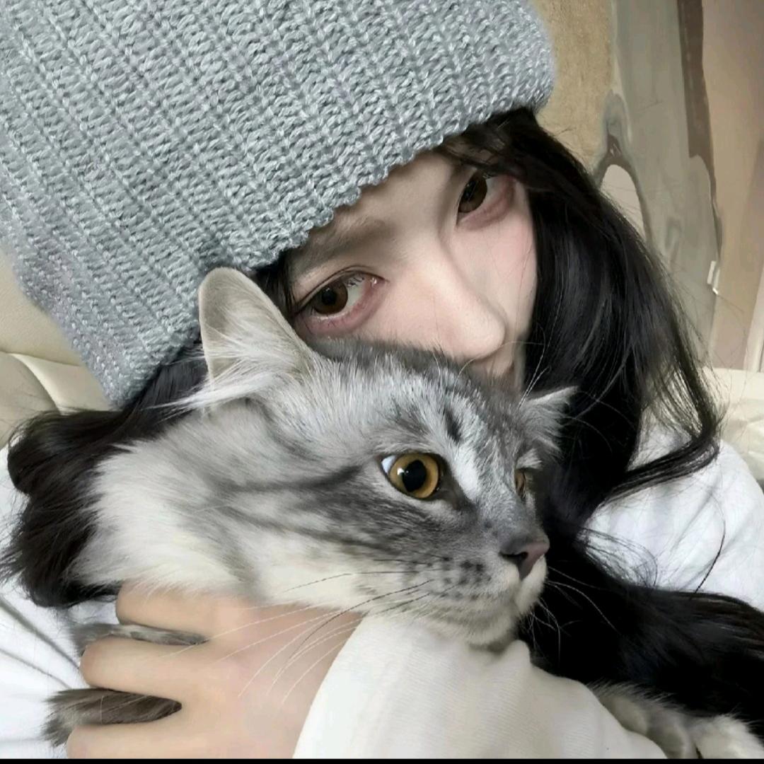 摆烂小鱼