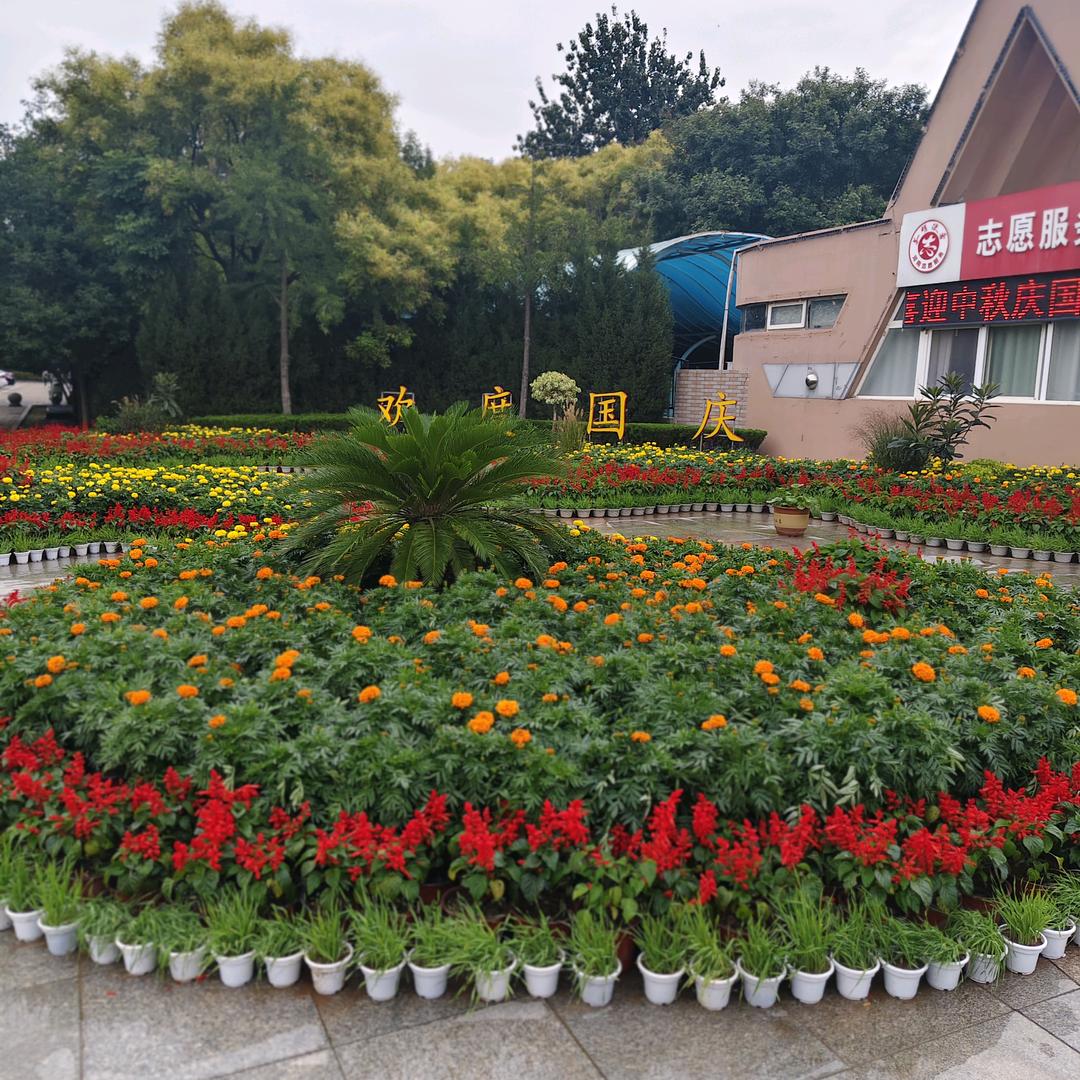 余生快乐
