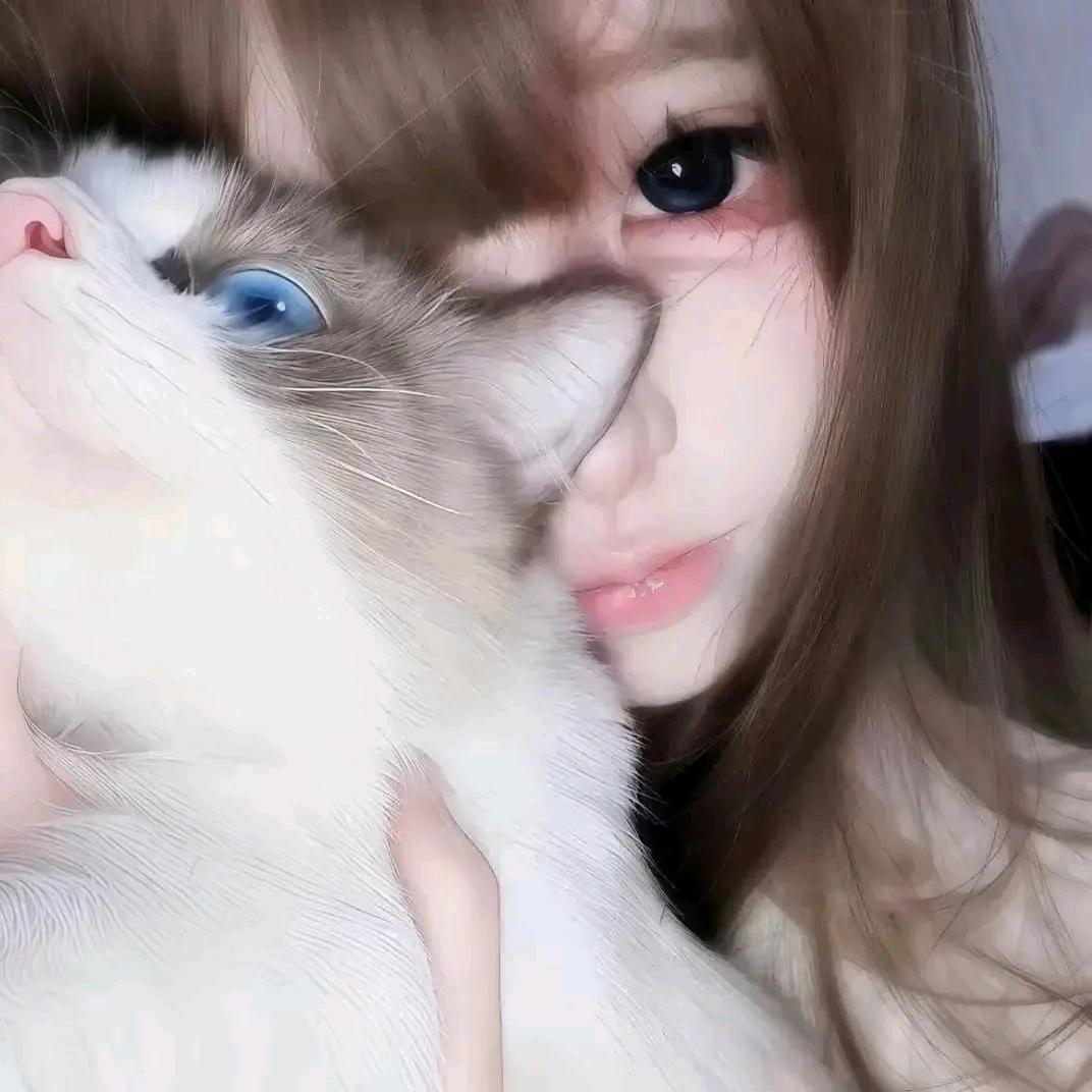 可冷冰