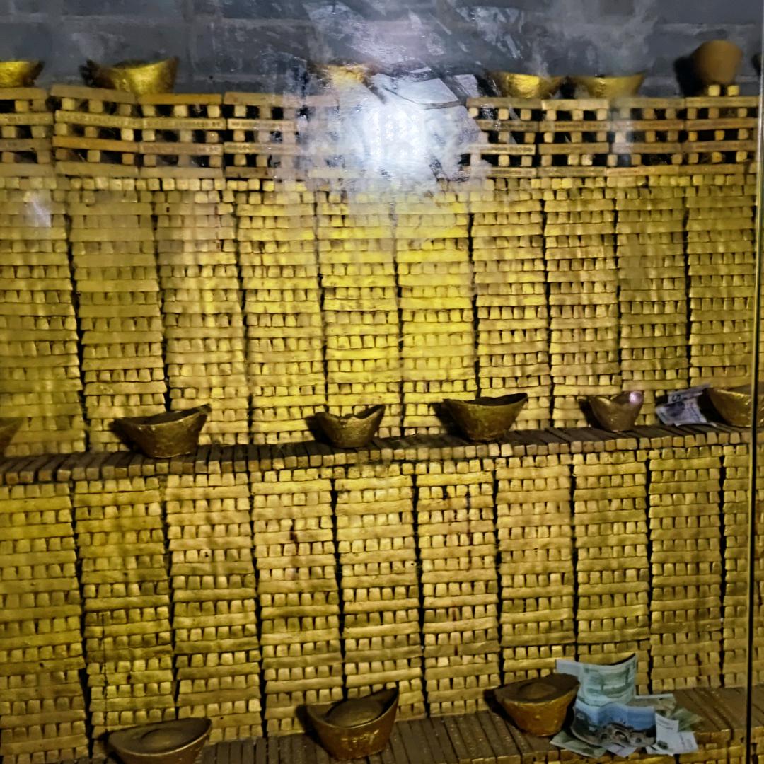 猪猪漫步(洛阳)